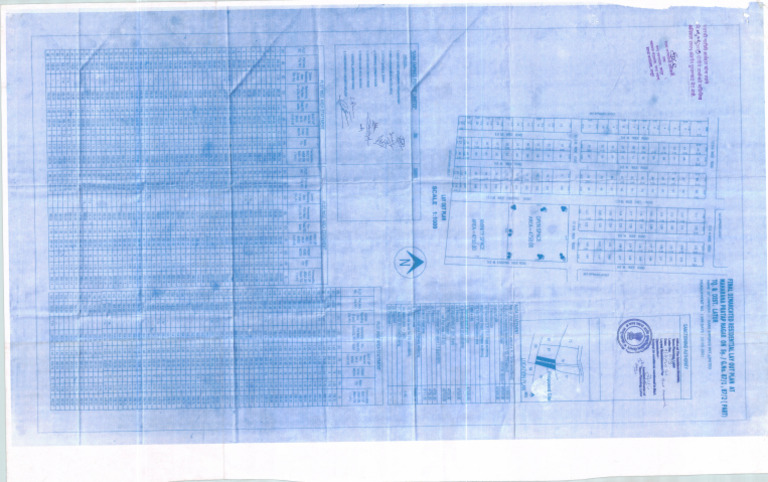 Sara Scan Layout | PDF