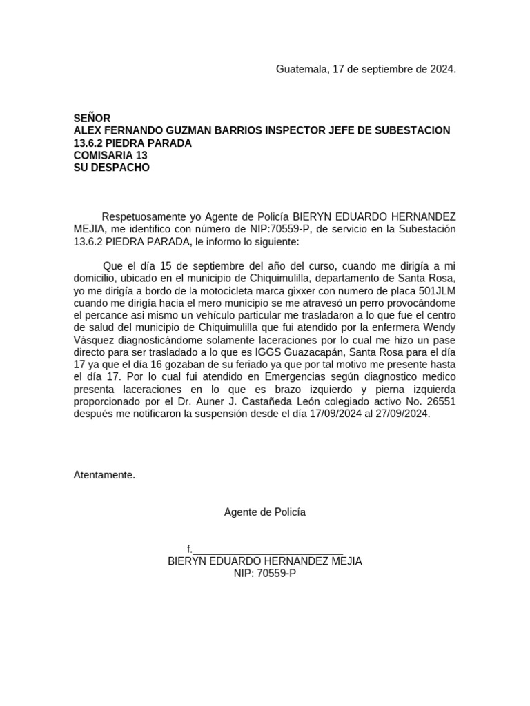 Informe igss 2024 pdf