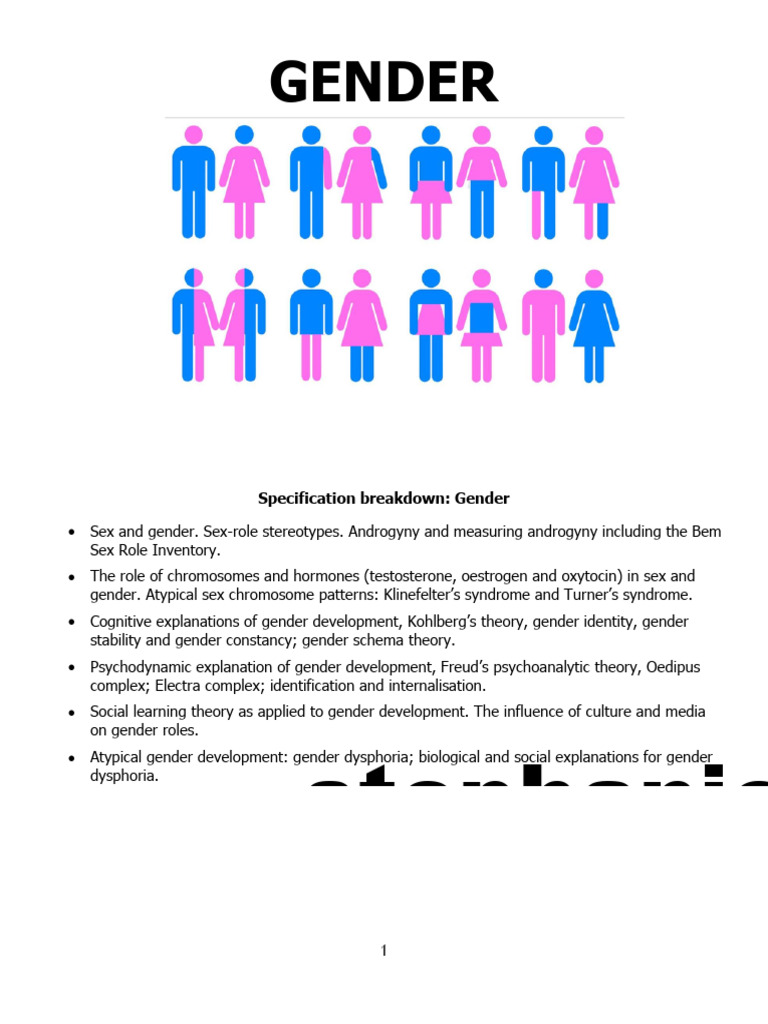 00 - Gender Booklet 2021 | PDF