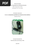 AL_Cor_ioes_metalicos_RosaPais_Accao_Org_Lab_2010