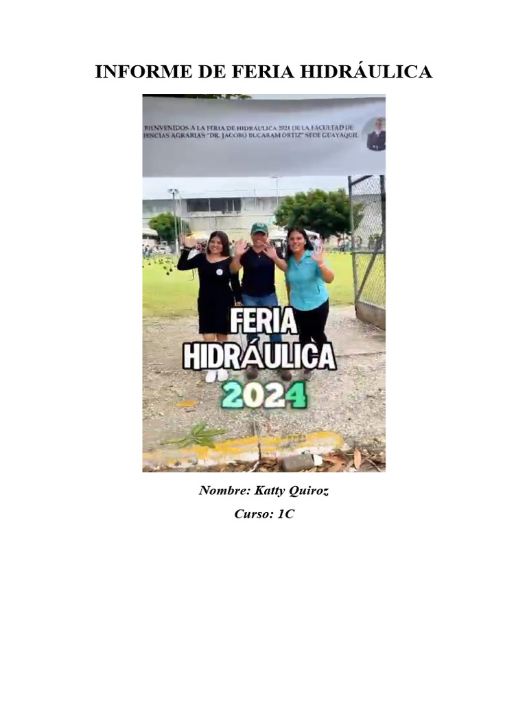 Informe Feria | PDF