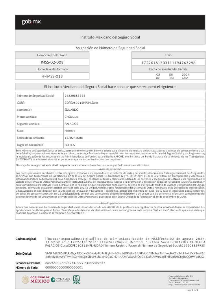 Comprobante NSS | PDF