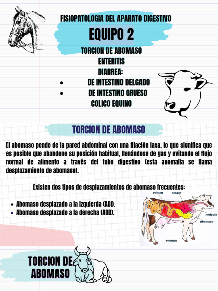 Eq 2 Fisiopatologia Del Ap Digestivo Pdf