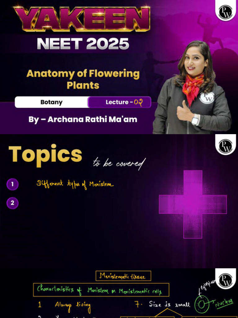 Anatomy of Flowering Plants 02 Class Notes Yakeen NEET 2 | PDF