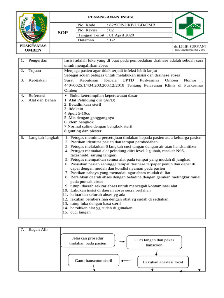 Insisi | PDF