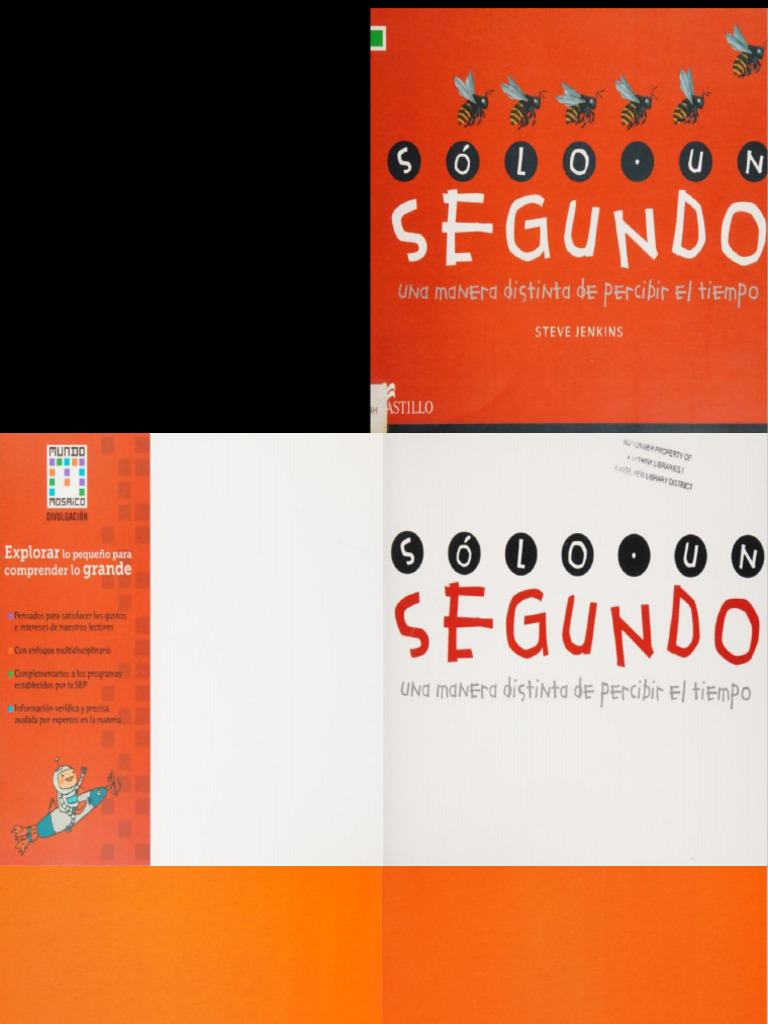 Solo Un Segundo Una Manera Distinta de Percibir El Tiempo | PDF