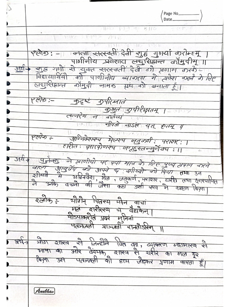 Sanskrit Rida Notes | PDF