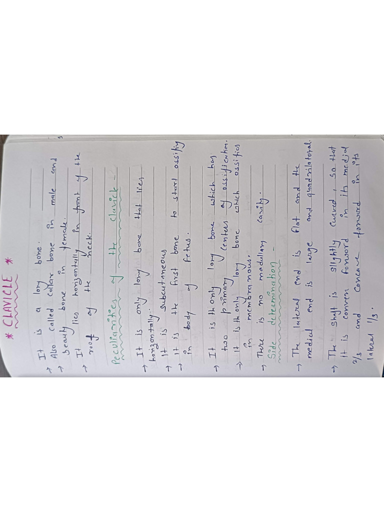 Anatomy Poonam Mam Notes | PDF