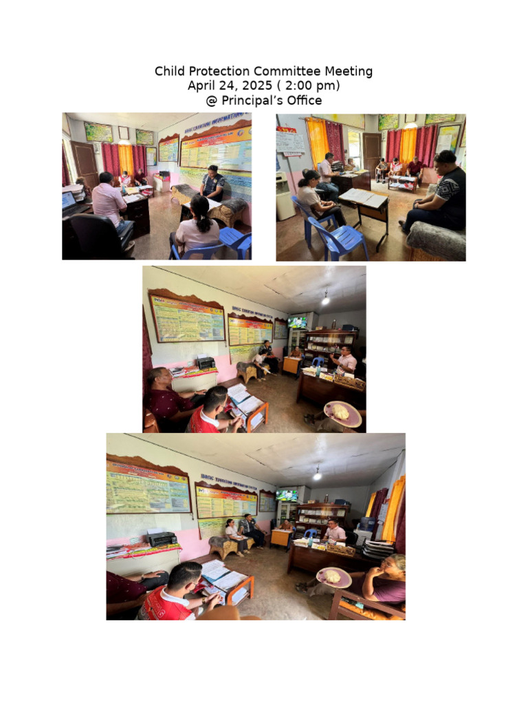 Child Protection Committee Meeting | PDF