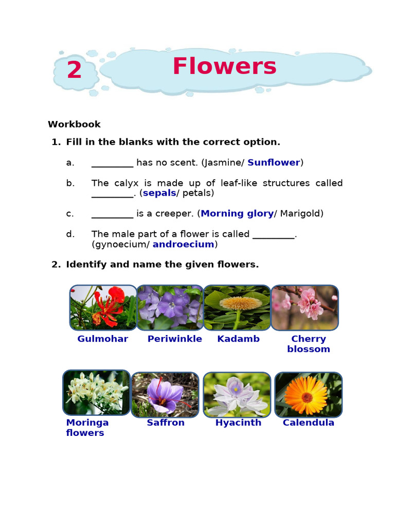 As Wb Cb IV Evs Flowers | PDF