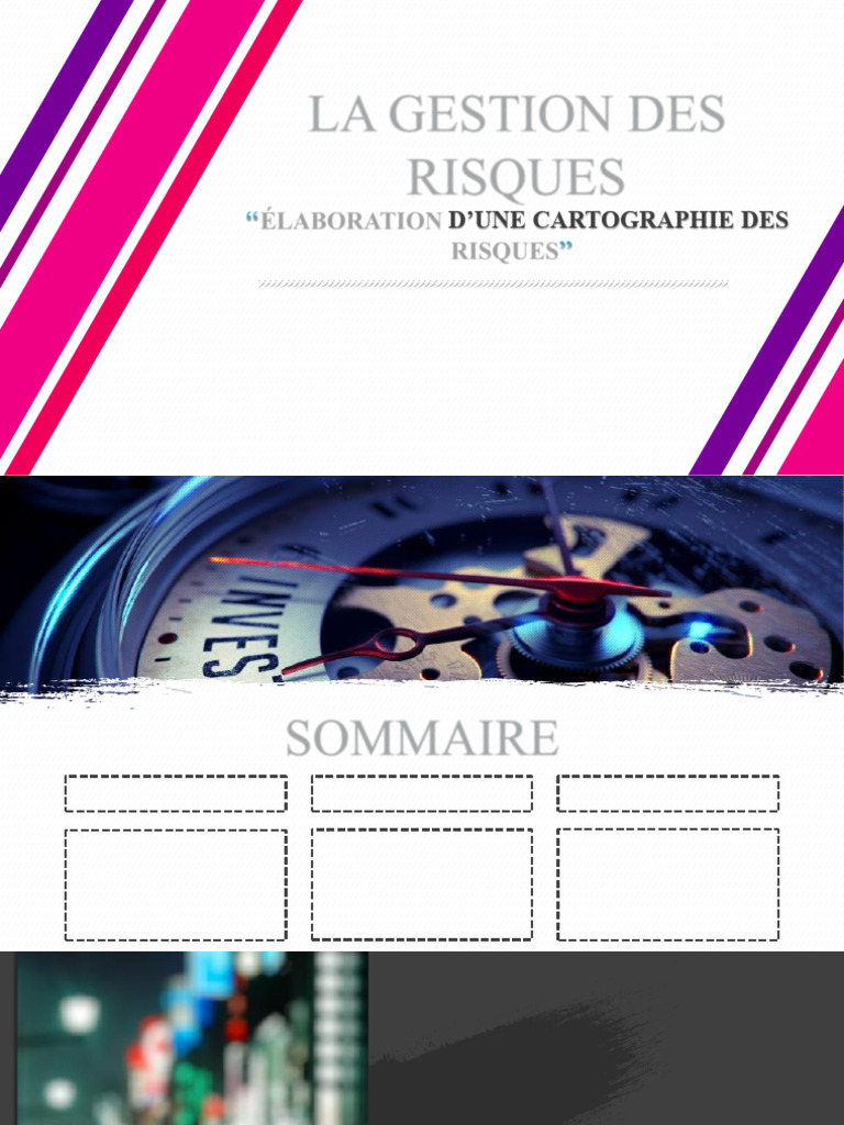 La Gestion Des Risques | PDF