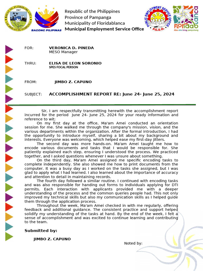 Spes Accomplishment Report 2024 | PDF