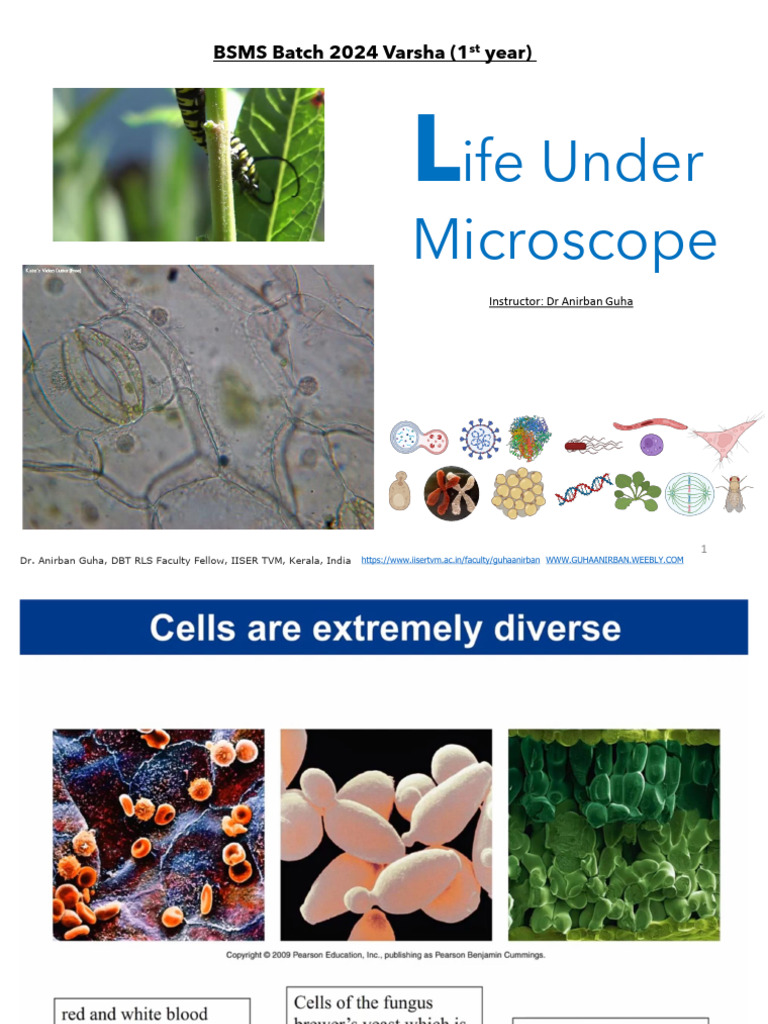 Life Under Microscope - Lab Course Bio112 | PDF