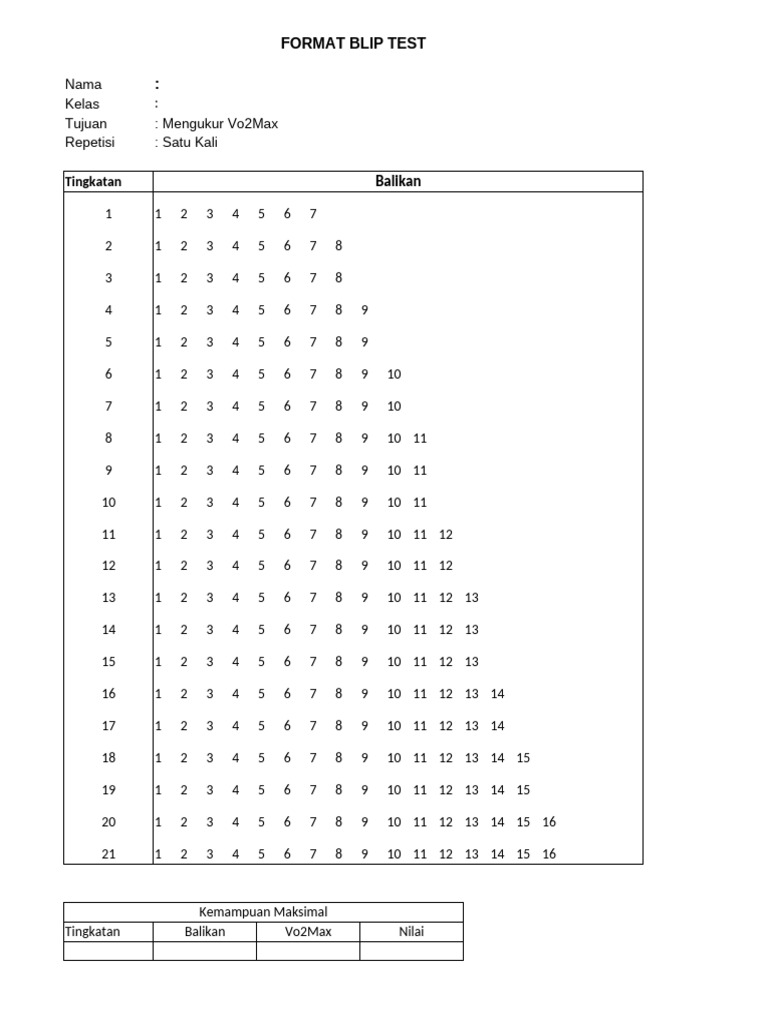 Format Blip Test | PDF