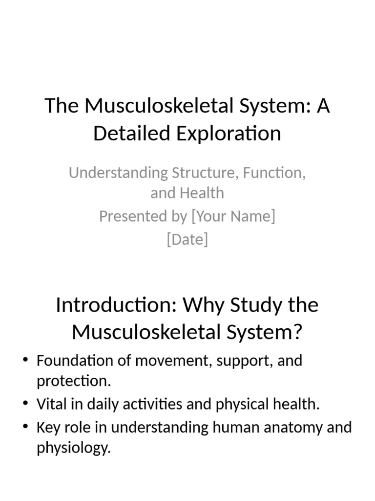 Musculoskeletal System Overview and Health | PDF | Human ...