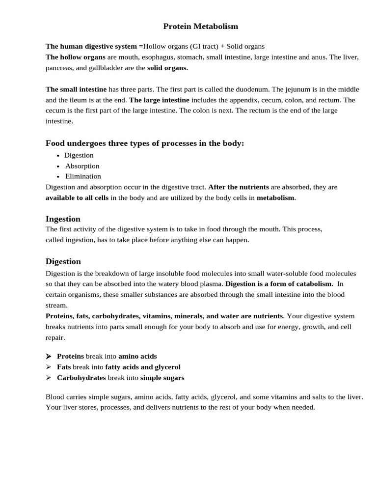 Protein metabolism PDF