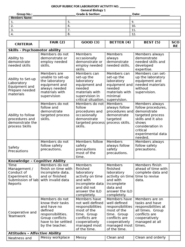 Lab Activity Rubric | PDF