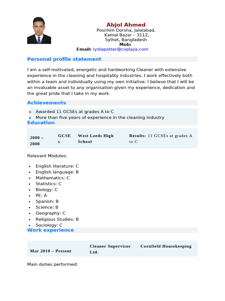 Cleaner CV | PDF