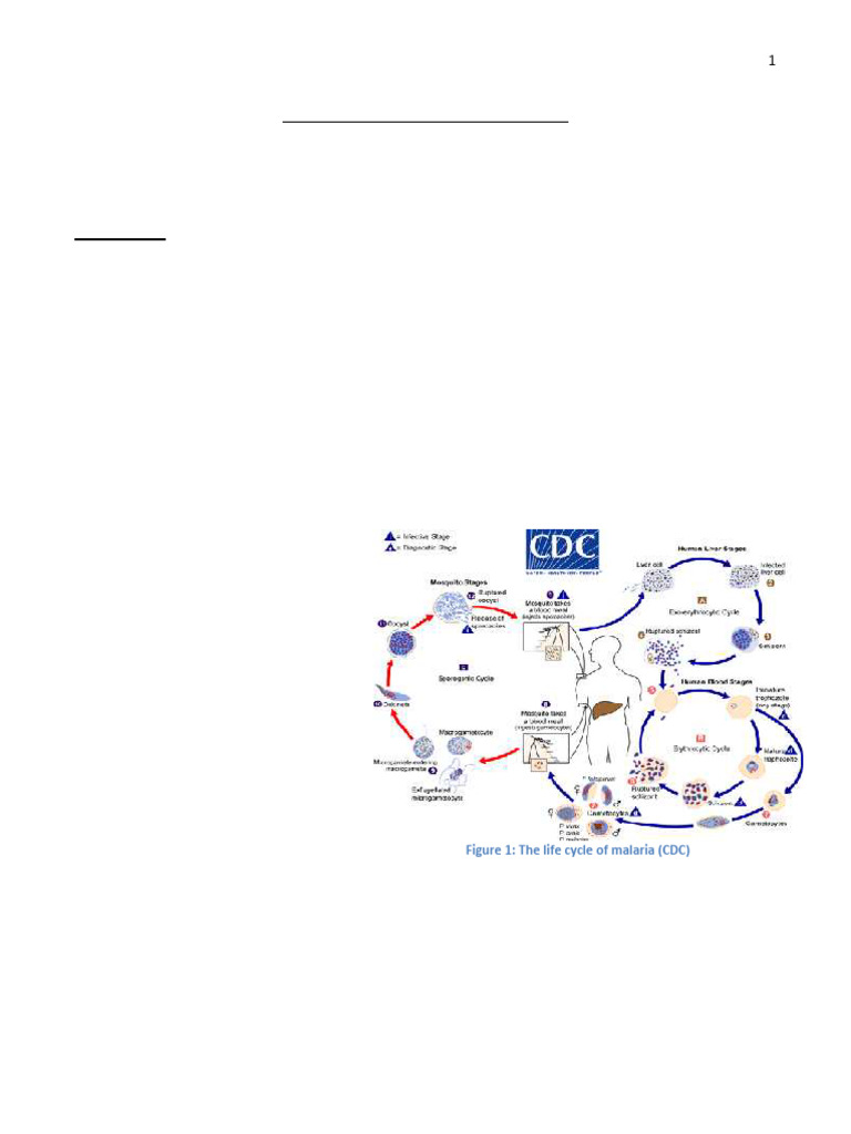 178 | PDF