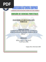 Download San Juan Ixhuatepec by Psydeloun SN77153895 doc pdf