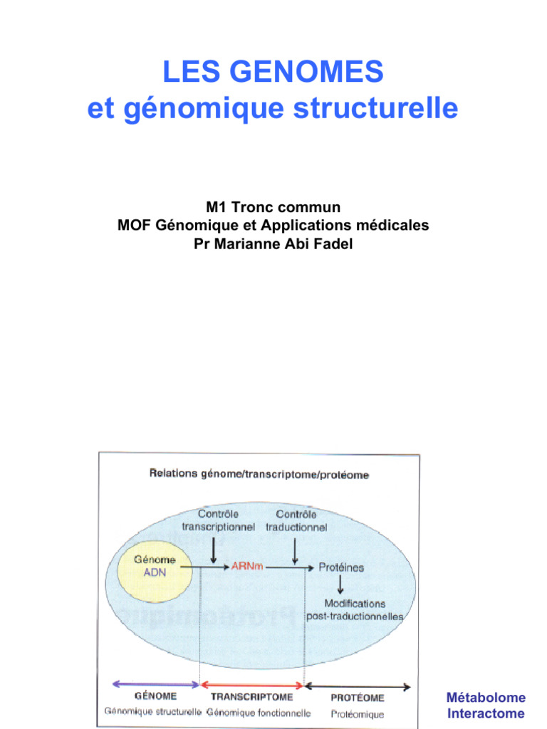 Mofgenomiquechap Les Genomes | PDF
