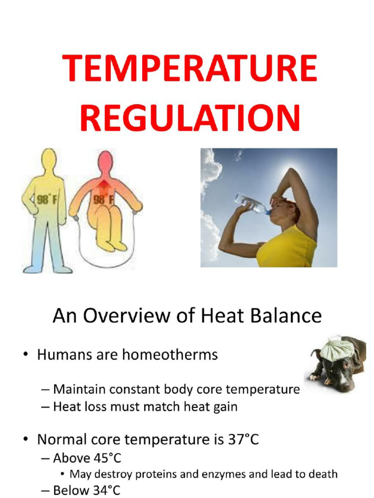 Thermo Regulation | PDF