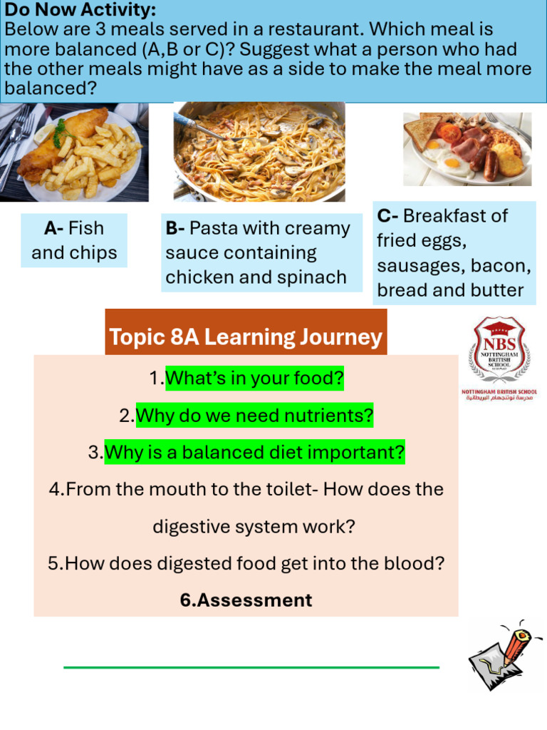Topic 8A (Nutrition) - Lesson 3 | PDF
