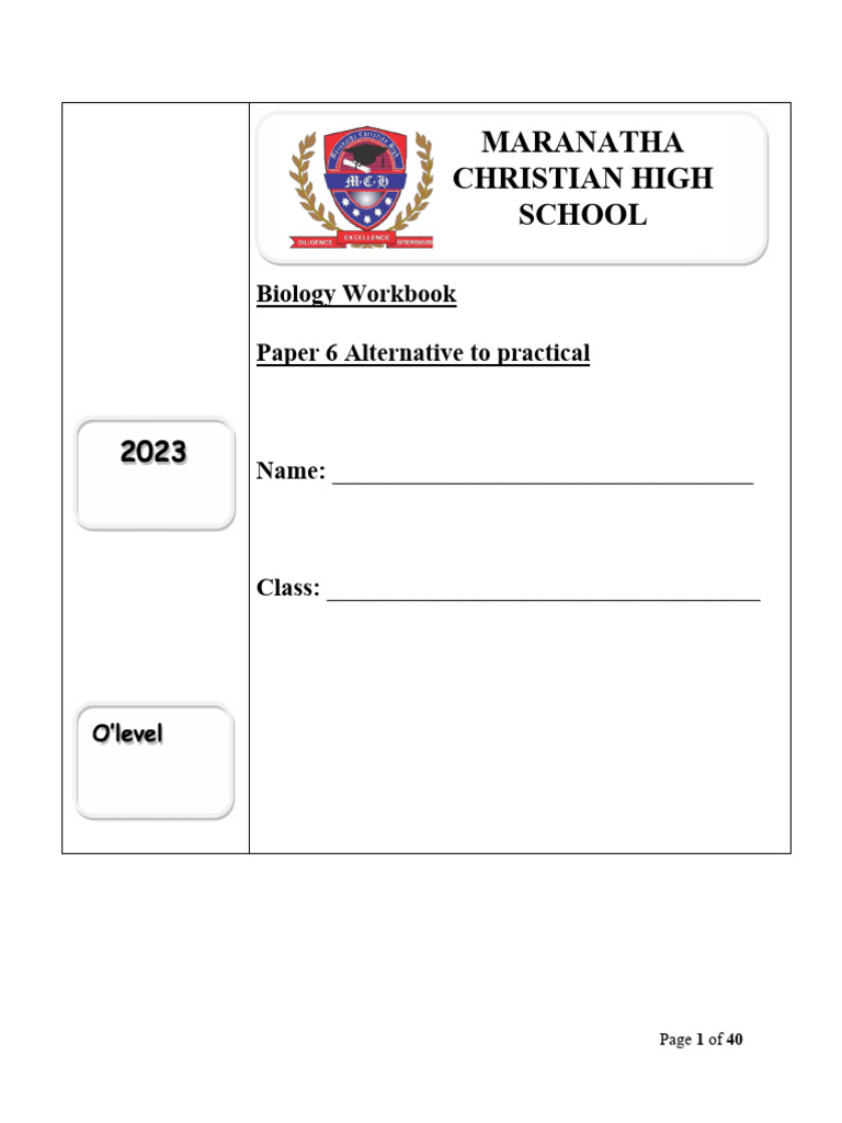 O'level P6 Workbook | PDF