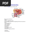 Download gambar prostat by Tati Kurniawati SN77158495 doc pdf