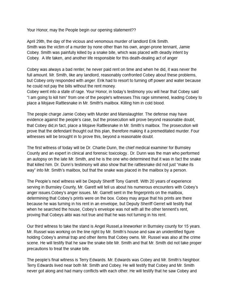 Opening Statement | PDF