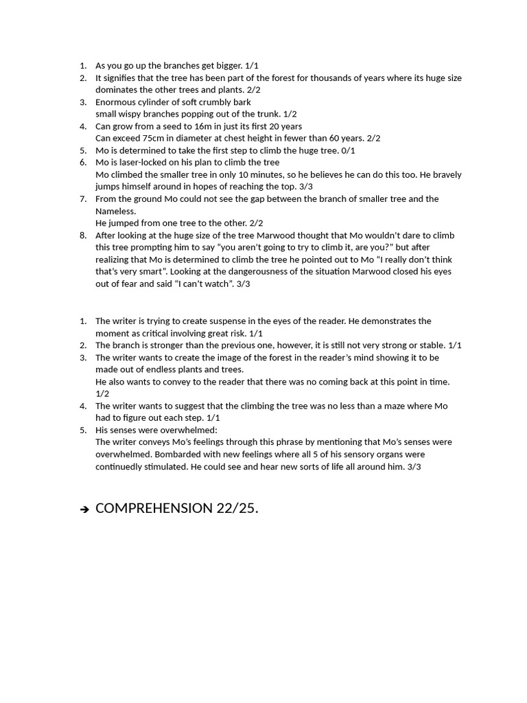 English P1 | PDF