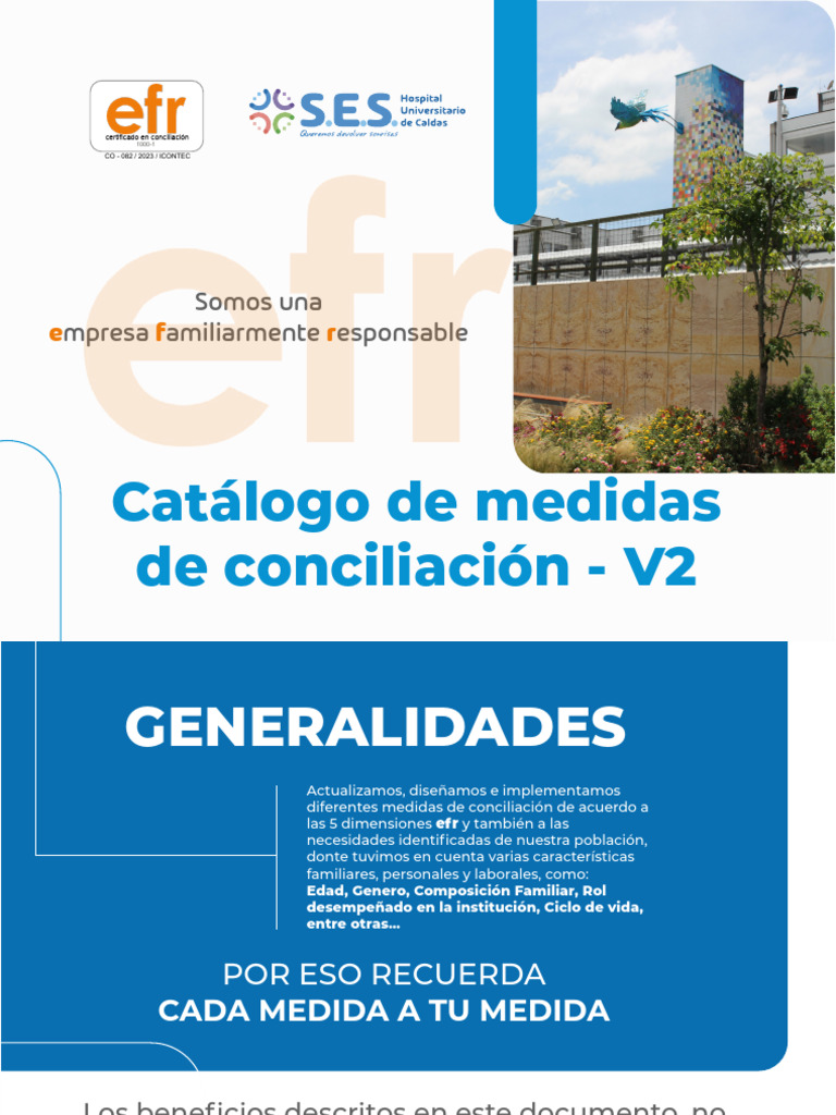 Catalogo de Medidas Efr v2 | PDF