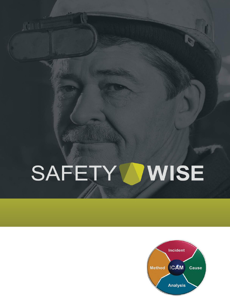 SAFETY WISE - Model Incident Investigation Report - Plant Gas | PDF