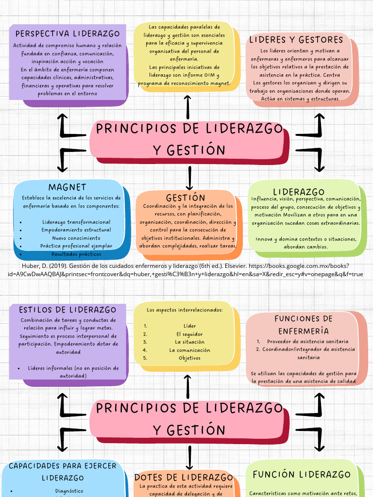 PRINCIPIOS DE LIDERAZGO Y GESTIÓN (Huber) | PDF