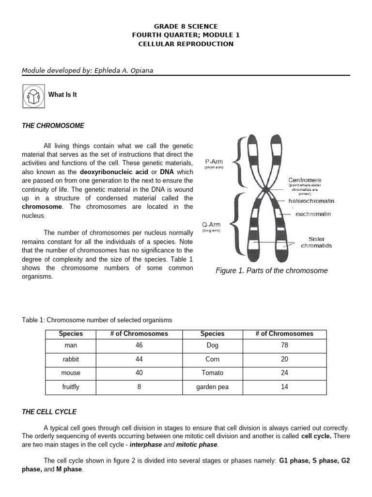 Cellular Respiration Module | PDF