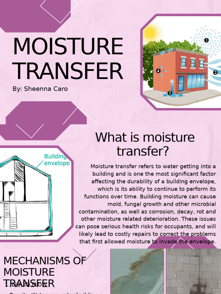 Moisture Transfer | PDF | Building Insulation | Building Engineering