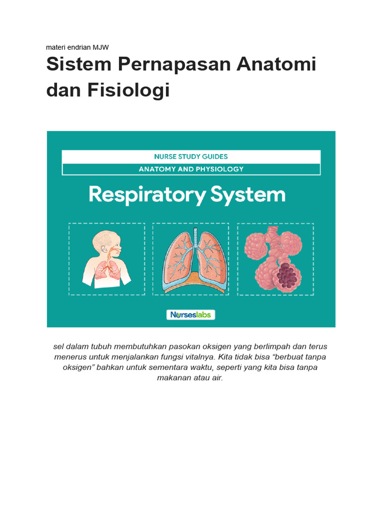 Anatomi Sistem Pernafasan Untuk Perawat | PDF