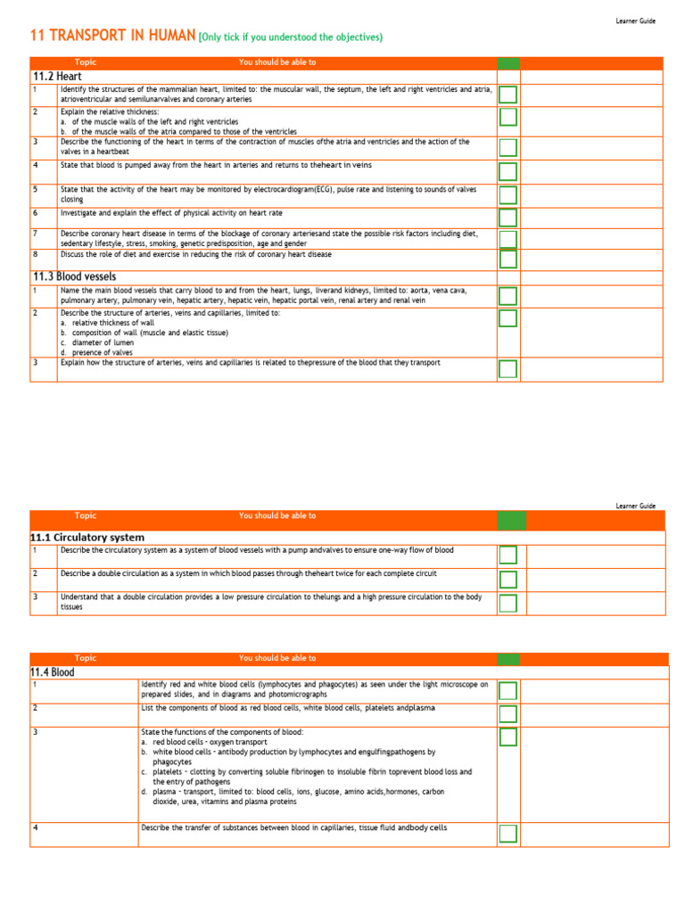 Revision On Topic 11 Human Transport System HEART - Compressed-1 | PDF