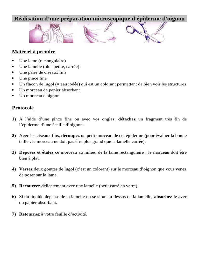protocoles-observation-oignon-pdf