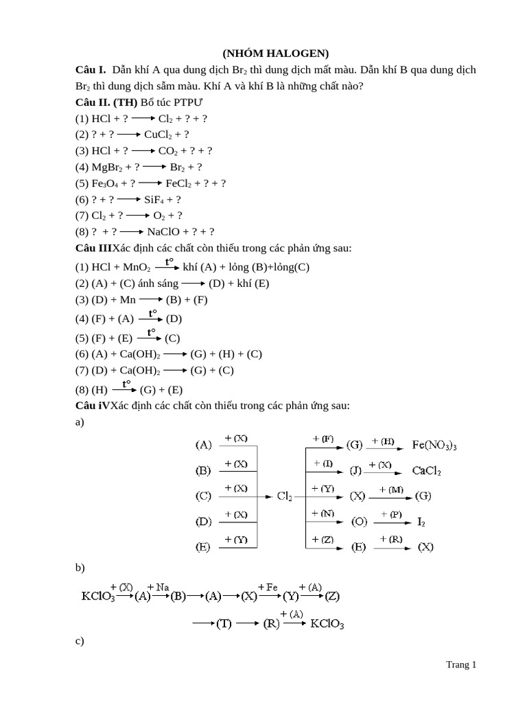 BT Halogen TN Va TL | PDF