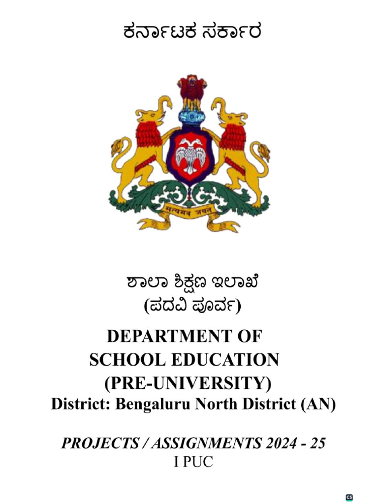 Final - I Puc - Projects Assignments 2024 - 25 | PDF