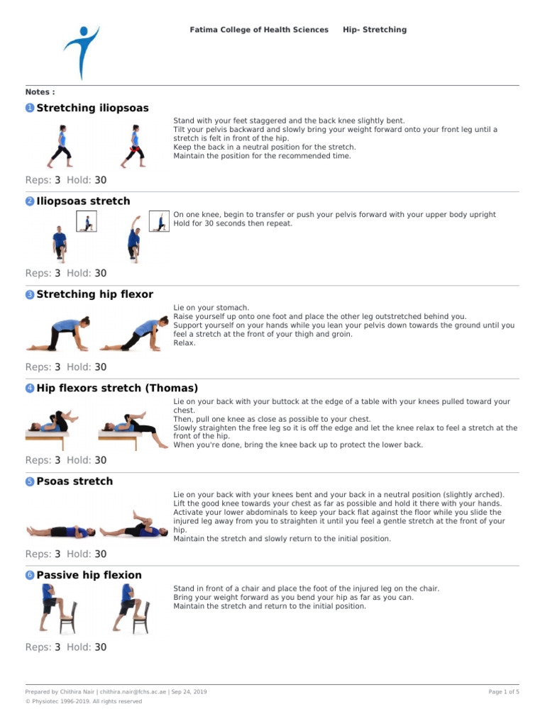 Hip - Stretching | PDF