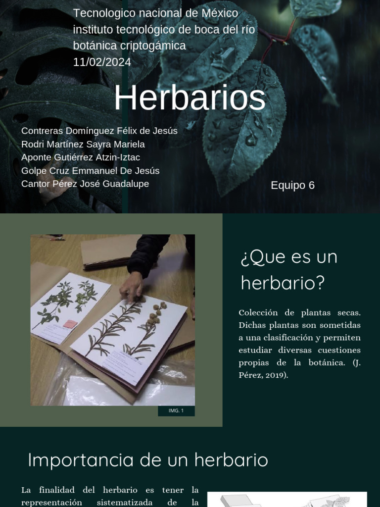 Historia e Importancia de Los Herbarios. | PDF