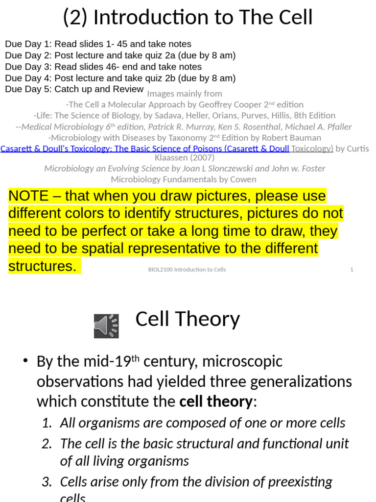 Introduction To Cell | PDF
