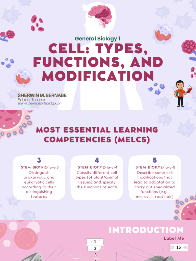 Gen. Bio. 1 CELL TYPES FUNCTIONS AND MODIFICATION - 20240808 - 044931 ...