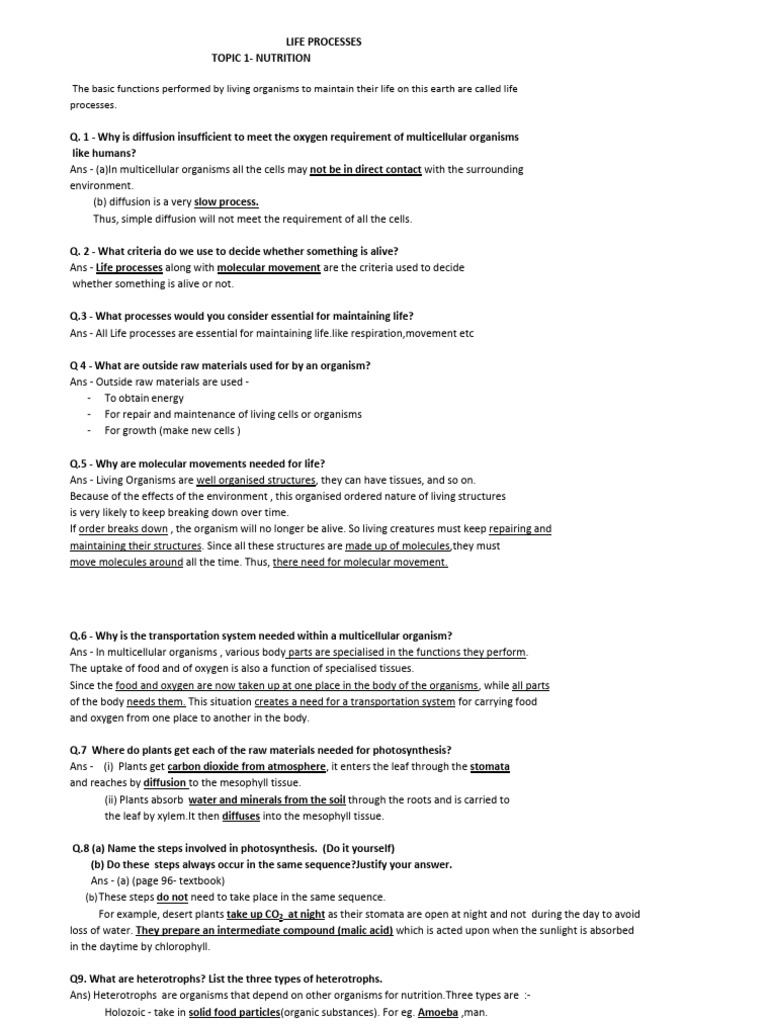 10 Life Processes NB | PDF