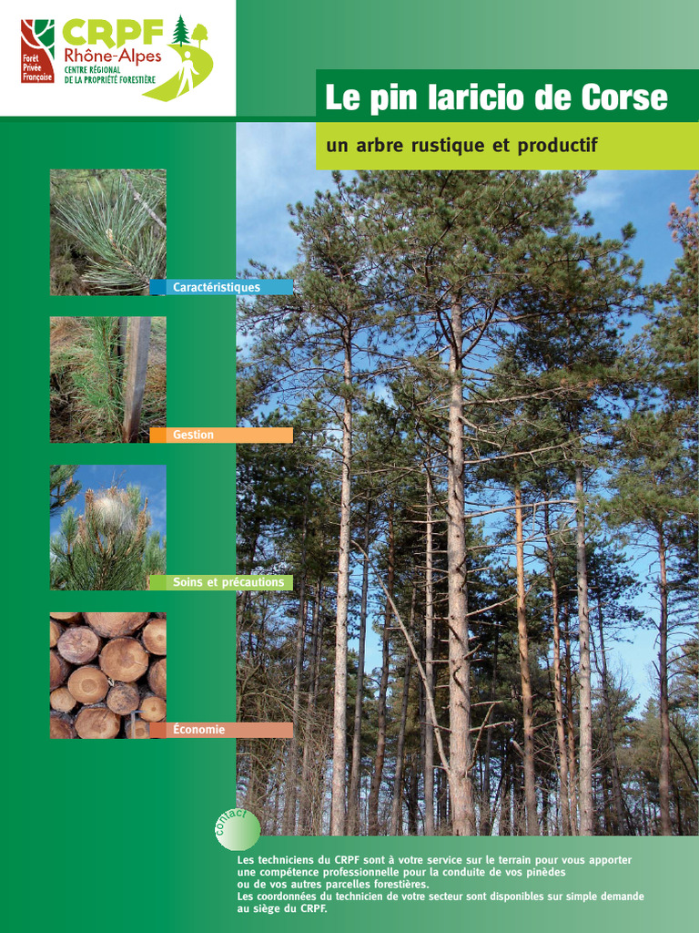 Fiche Pin Laricio 2013 1 1 | PDF