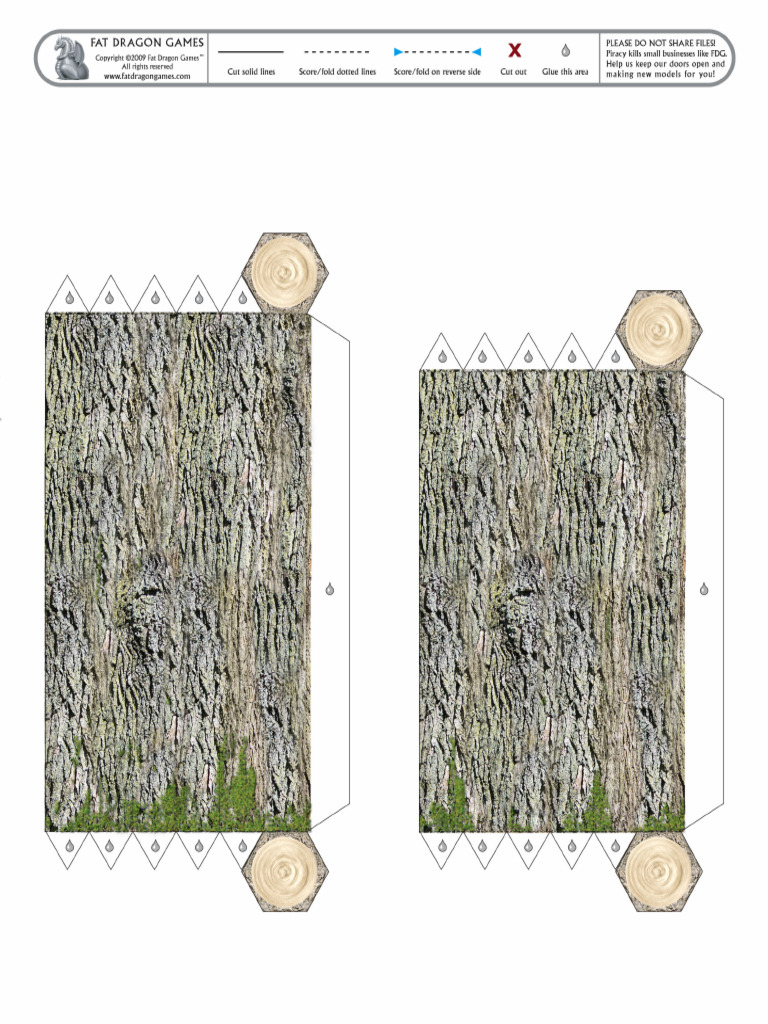 Tree Trunk 2 | PDF
