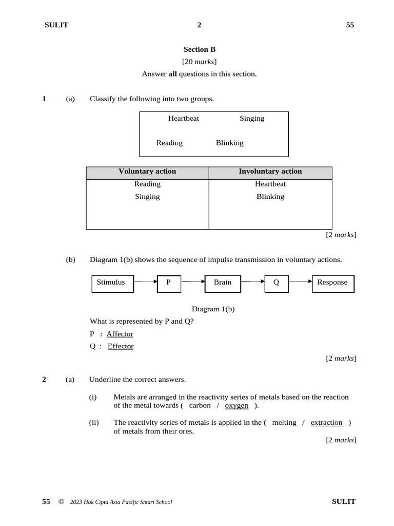 S3 Science Exam Paper 2023 | PDF