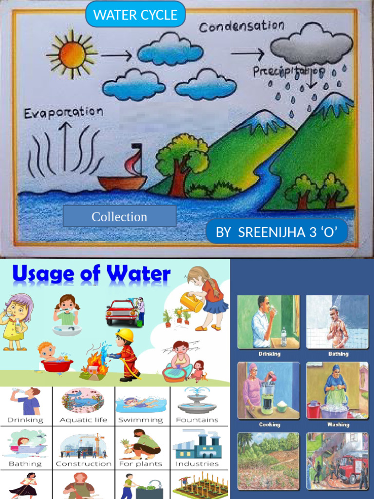 Sreenijha 3O English Holiday Homework Water Cycle | PDF